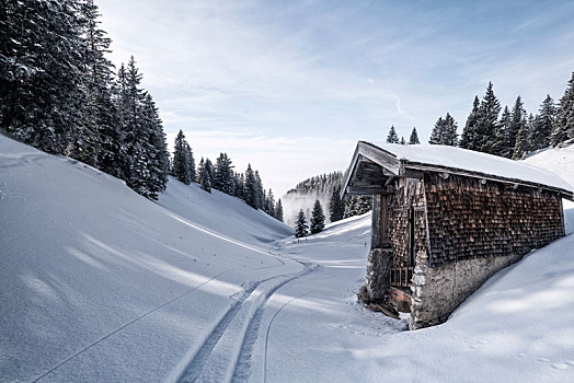 滑雪道,正面,小屋,木质,木瓦,山,德国南部,冬天