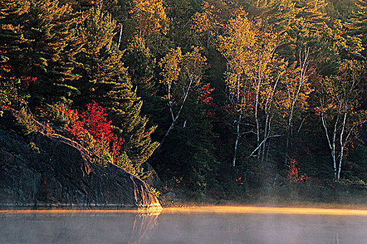 日出,北安大略,秋日风光,河,安大略省,加拿大