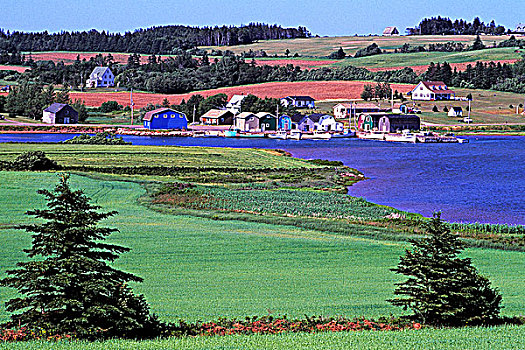 沿岸,渔村,法国河,爱德华王子岛,加拿大