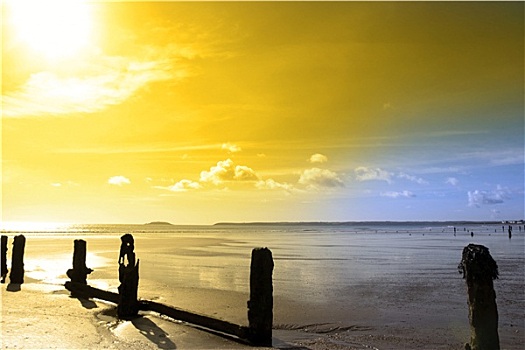 金色,阳光,上方,爱尔兰,海岸
