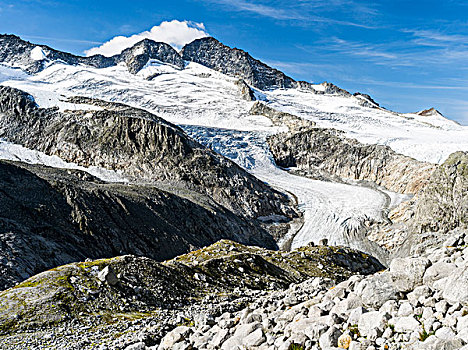 顶峰,山,国家公园,陶安,防护,高海拔,环境,特色,地貌,植被,欧洲,中欧,奥地利,萨尔茨堡,大幅,尺寸