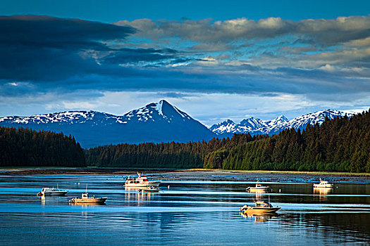 景色,晚间,小湾,停泊,渔船,冰河湾国家公园,保存,东南阿拉斯加,夏天