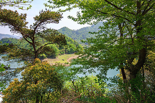 水库,山水,生态