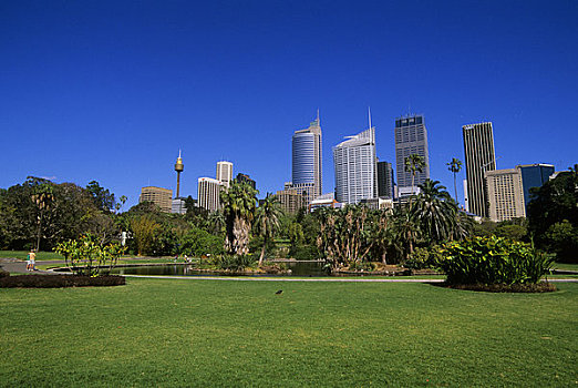澳大利亚,悉尼,皇家,植物园,背景