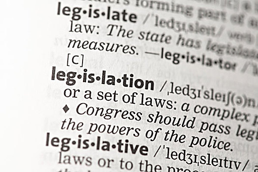 立法,定义,字典