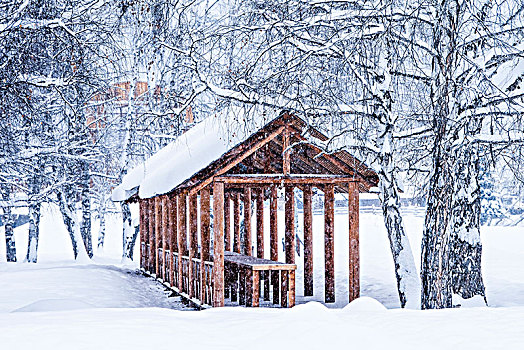 冬日,树林,雪地,木屋