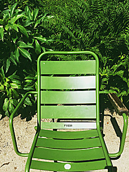 绿色,夏天,椅子,杜乐丽花园,巴黎