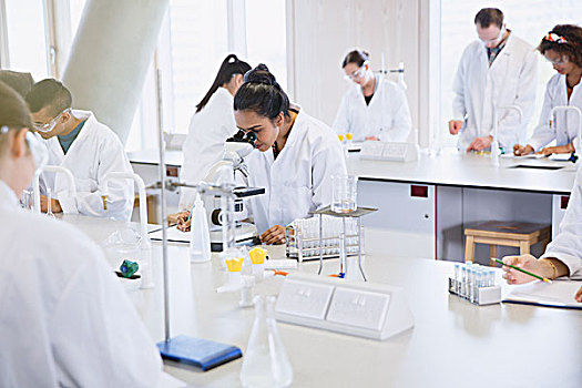 大学生,显微镜,指挥,科学实验,实验室