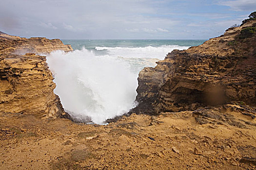 岩石海岸