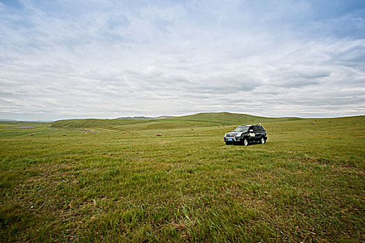 轿车行驶在内蒙古草原上