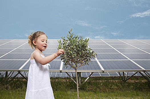 女孩,树,正面,太阳能电池板