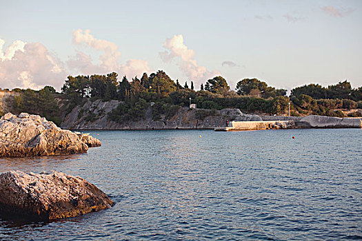 石头,树,海岸线,赫瓦尔岛,克罗地亚