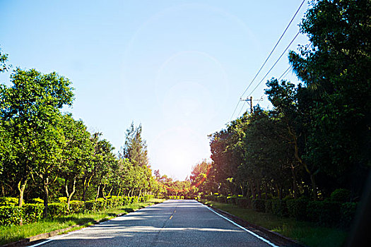 沥青,道路,绿色,地点