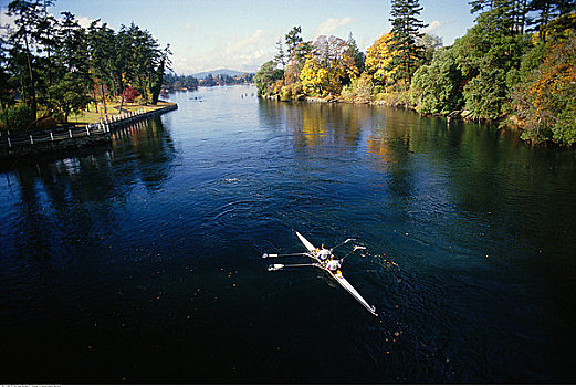 桨手,峡谷,水系,维多利亚,不列颠哥伦比亚省,加拿大
