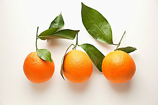 三个,肚脐,橘子,叶子,白色,表面