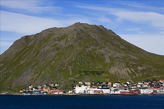 房子,山坡,霍宁斯沃格,港口,岛屿,北角地区,挪威