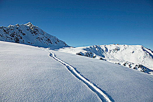 滑雪板,轨迹,初雪