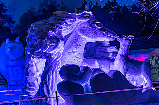 中国长春南湖公园冰雪灯光展迎接农历新年