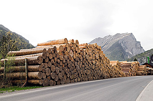 锯木厂,木料,交易,原木,存储,建筑,木材,联邦,道路,奥地利,欧洲