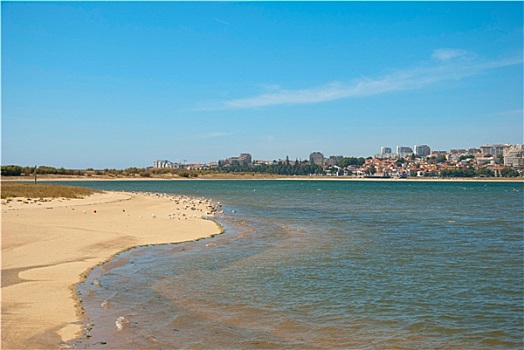 沙滩,自然保护区,波尔图,葡萄牙