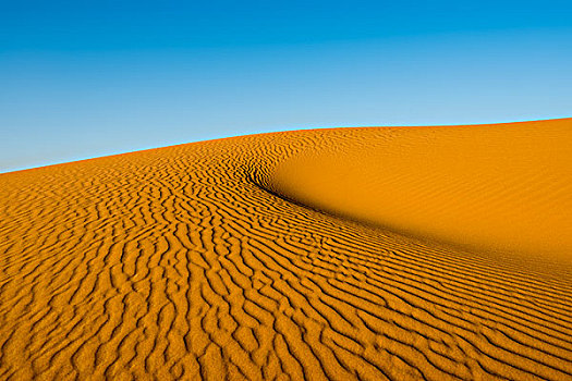 沙丘,晨光,梅如卡,区域,摩洛哥,非洲