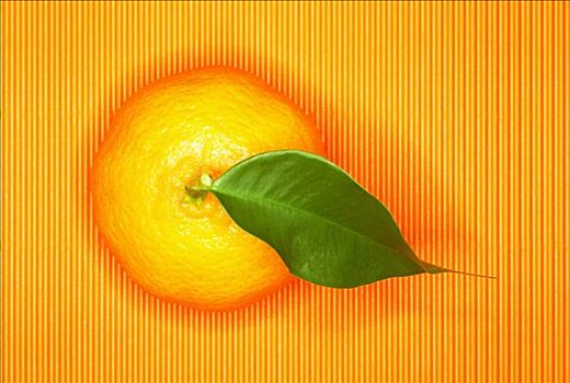 柑橘,叶子,橙色背景