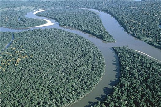 亚马逊河,丛林,巴西