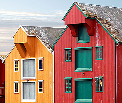 红色,黄色,沿岸,木屋,挪威,海鸥,鸟窝,屋顶