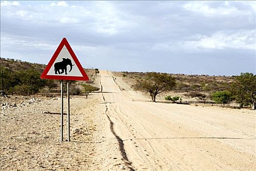 大象,穿过,标识,道路,达马拉兰,纳米比亚
