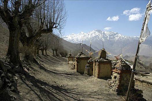 小路,树,安娜普纳地区,尼泊尔