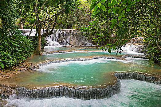 老挝,琅勃拉邦,省,漂亮,青绿色,蓝色,水池,瀑布,流行,旅游,挨着