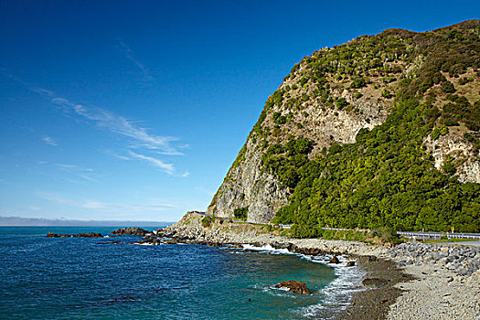 公路,一个,海岸,马尔伯勒,南岛,新西兰