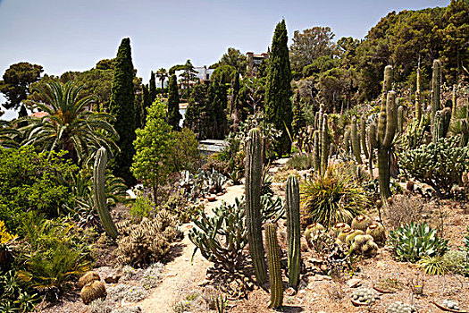 植物园,哥斯达黎加,加泰罗尼亚,西班牙,欧洲