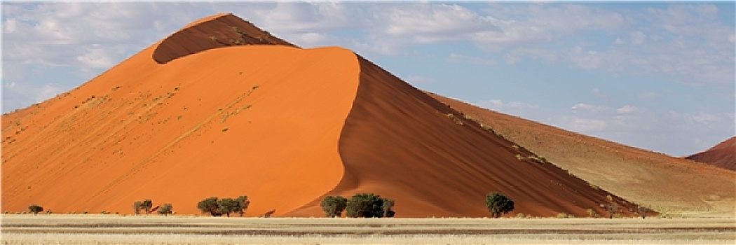 荒漠沙丘,全景