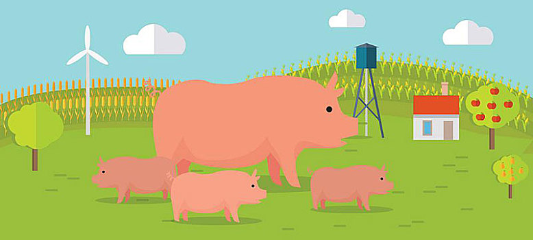 猪,农场,概念,插画,矢量,公寓,设计,小猪,站立,风景,地点,背景,有机农牧,传统农耕,现代,生态