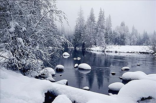 湖,积雪,风景