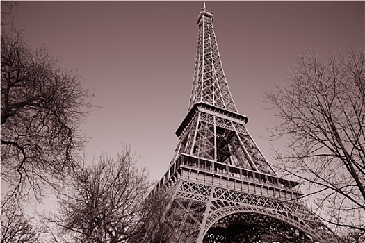 埃菲尔铁塔,冬天,树,巴黎,法国