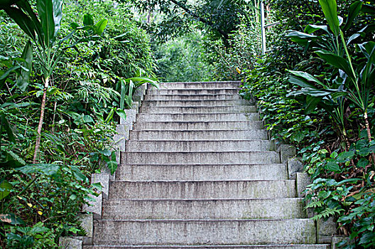 阶梯,道路,楼梯