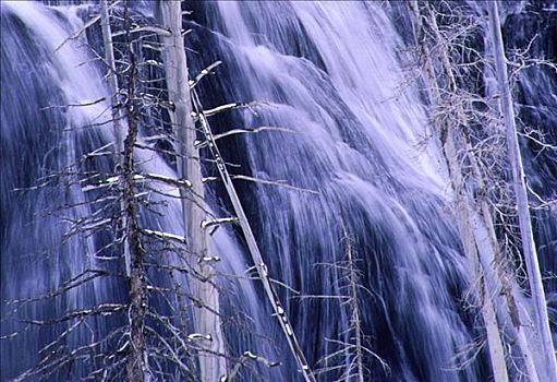 长臂猿,瀑布,冬天,黄石国家公园,怀俄明,美国