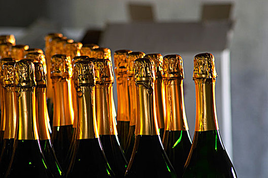 瓶子,汽酒,金色,遮盖,酒栈,葡萄酒厂,乌拉圭,南美