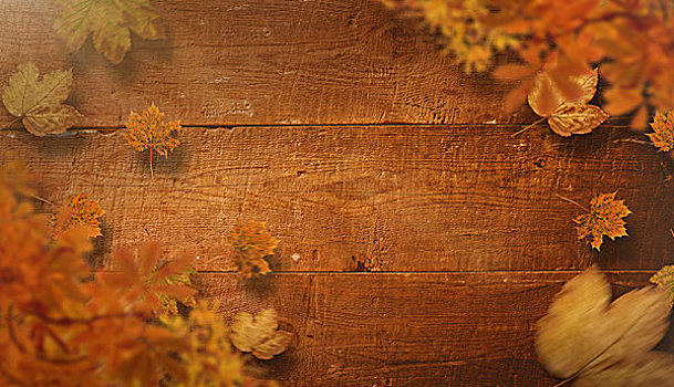 合成效果,图像,秋叶,上方,厚木板
