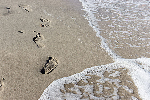 脚印,湿,海滩,沙子