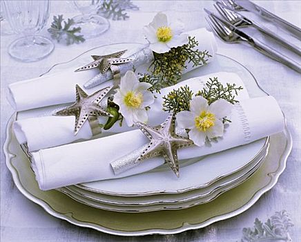 餐巾,装饰,圣诞玫瑰,柏树,星