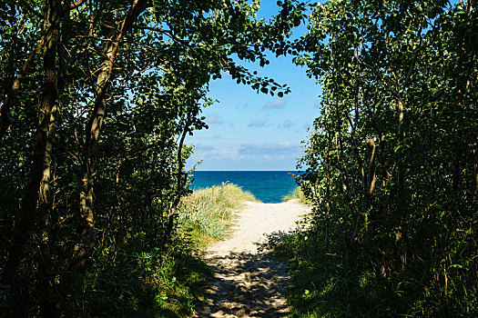 海滩,波罗的海,靠近