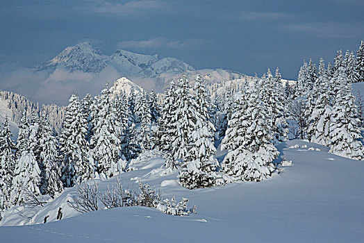 冬季风景,巴伐利亚阿尔卑斯山,巴伐利亚,德国