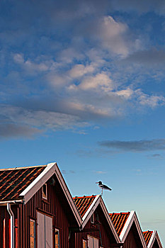 木屋,瑞典