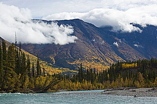 深秋,叶子,秋色,山坡,湖,道路,河,沿岸,山脉,后面,育空地区,加拿大