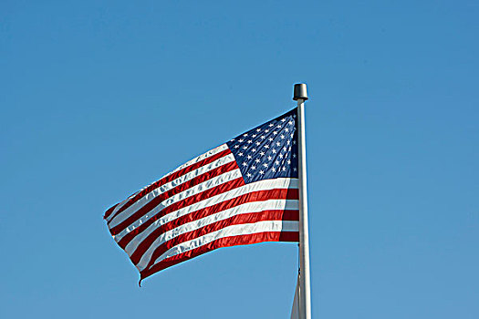 旗帜,美国