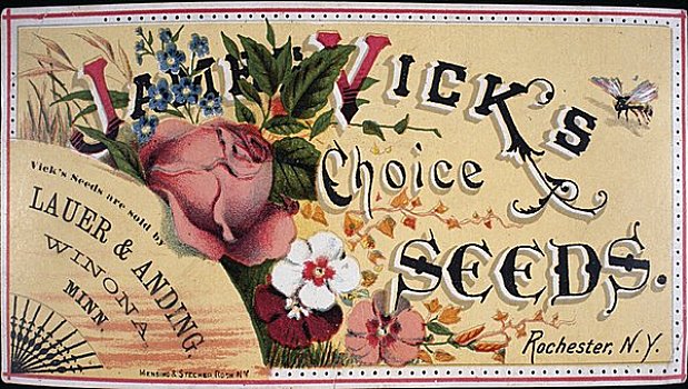 选择,种子,交易,卡,美国,伊利诺斯,芝加哥,图书馆,19世纪