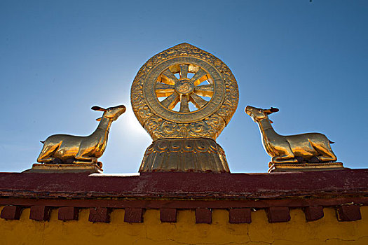 西藏拉萨大昭寺法轮双鹿